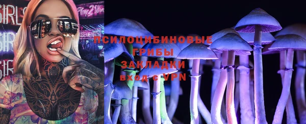 мескалин Бородино