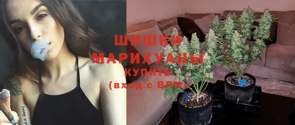 мдпв Болохово