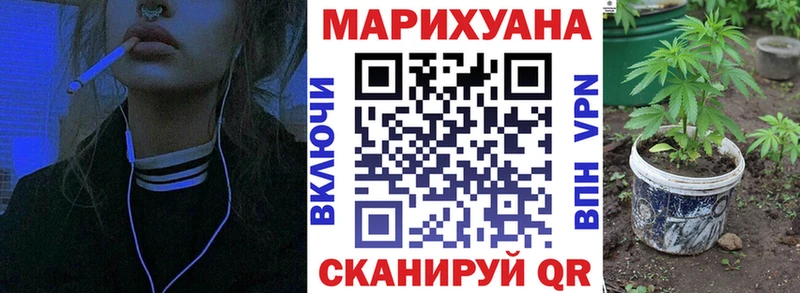 Конопля семена  где продают наркотики  Вичуга 
